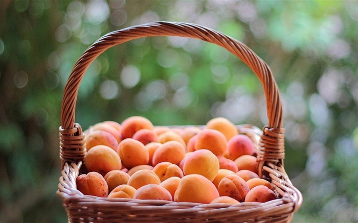 One basket apricots Wallpapers Pictures Photos Images