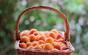 One basket apricots HD wallpaper