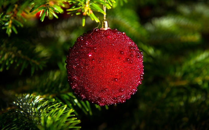 Red Christmas ball Wallpapers Pictures Photos Images