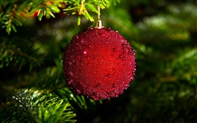 Red Christmas ball