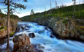 River, trees, rocks, nature HD wallpaper