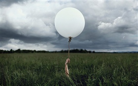 White balloon, grass HD wallpaper
