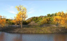 Autumn, pond, trees, yellow leaves HD wallpaper