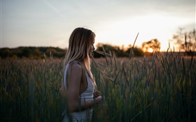 Blonde girl, wheat field HD wallpaper