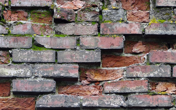 Bricks, wall Wallpapers Pictures Photos Images