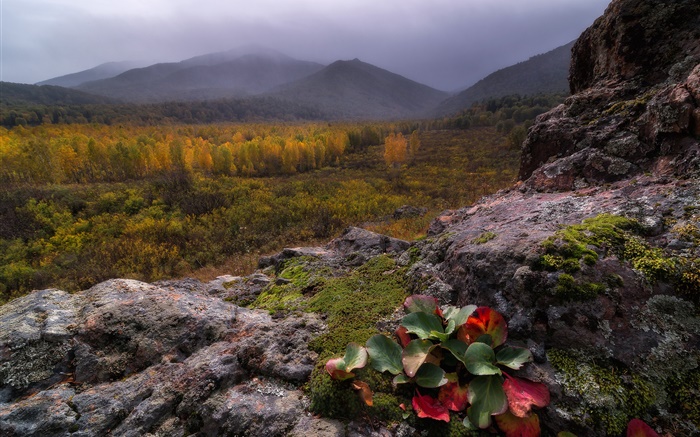 Mountains, fog, stones, forest, autumn Wallpapers Pictures Photos Images
