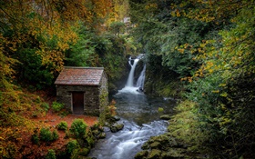 UK, Cumbria, waterfall, house, plants