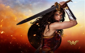 League of Justice, Diana, sword HD wallpaper