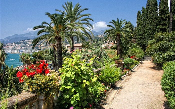 Palm trees, sea, coast, road, city, France Wallpapers Pictures Photos Images