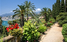 Palm trees, sea, coast, road, city, France HD wallpaper